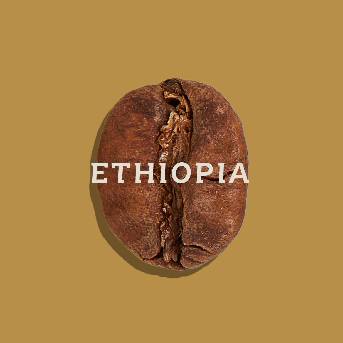 Ethiopia Guji